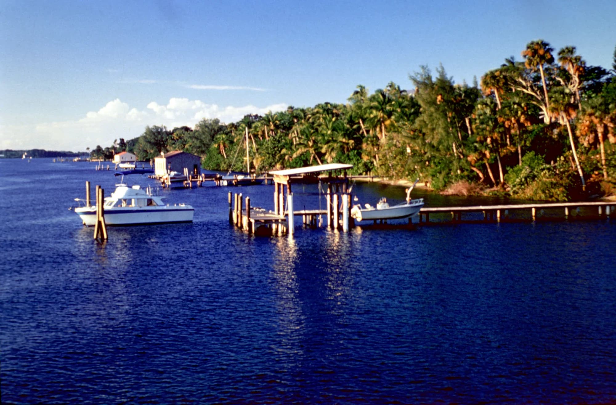 Palms and boats along Florida’s Indian River Lagoon